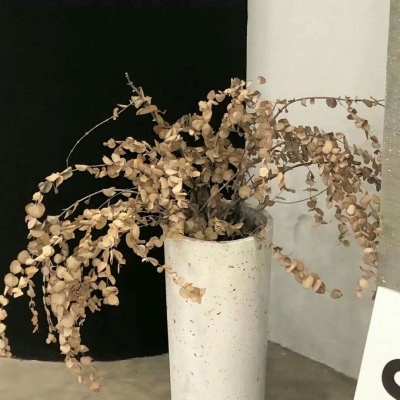 Furry角色性格塑造技巧福瑞交流群